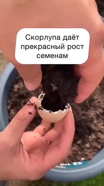 Обложка видео