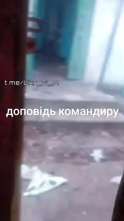 Обложка видео