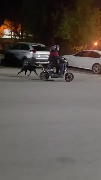 Обложка видео