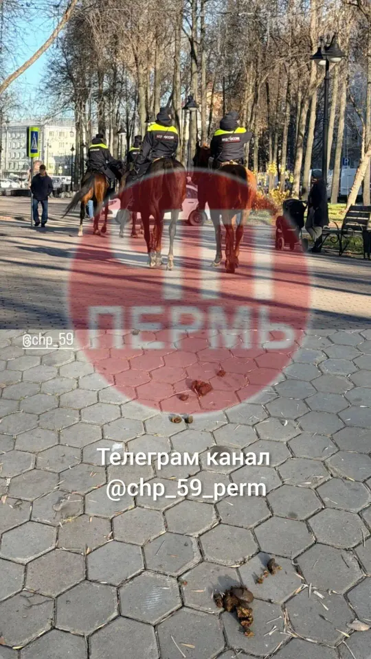 Фото из поста