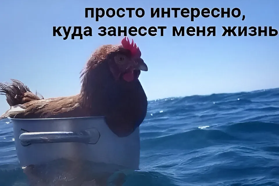 Фото из поста