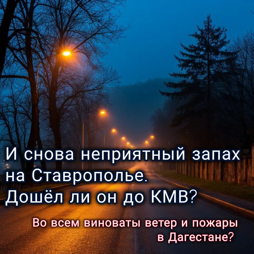 Фото из поста