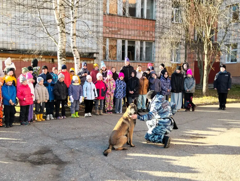 Фото из поста