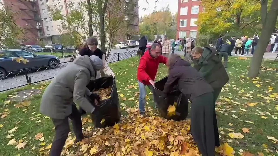 Обложка видео
