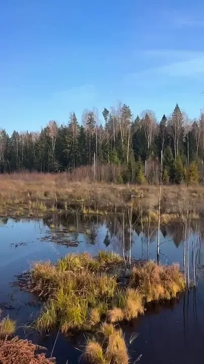 Обложка видео