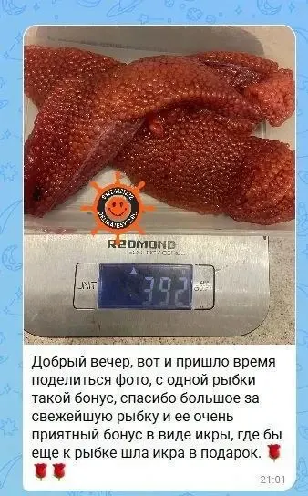 Фото из поста