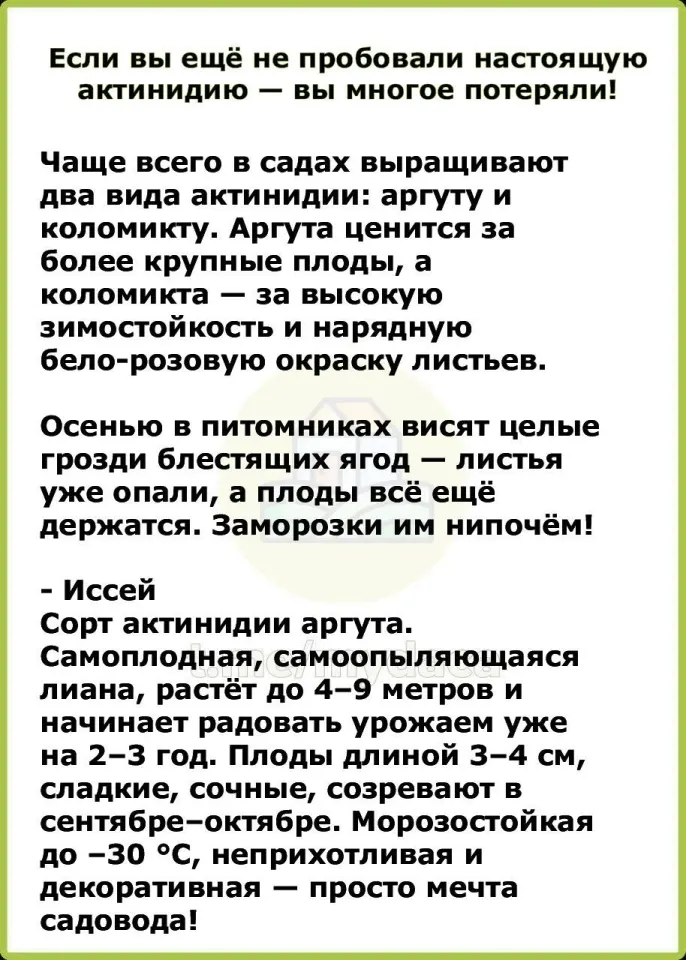 Фото из поста