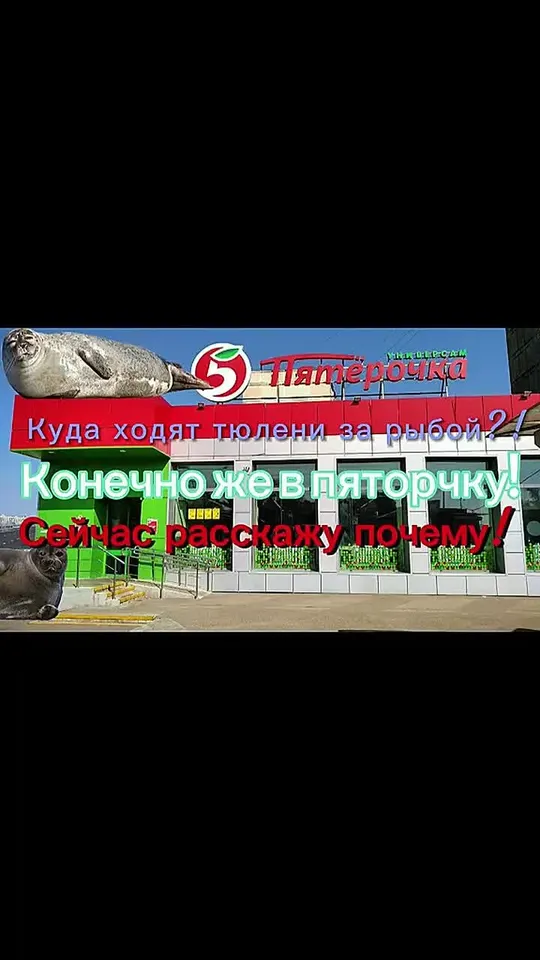 Обложка видео
