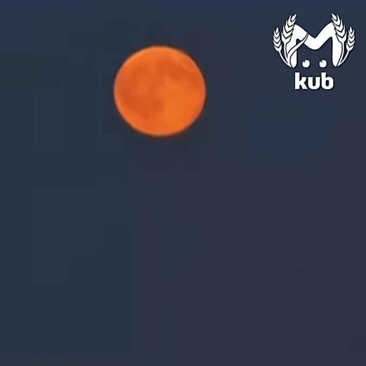 Обложка видео