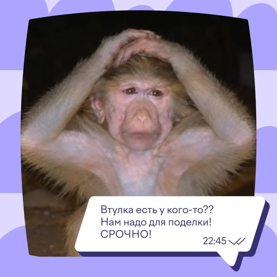 Фото из поста