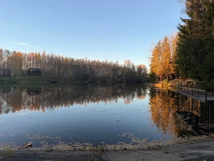 Фото из поста