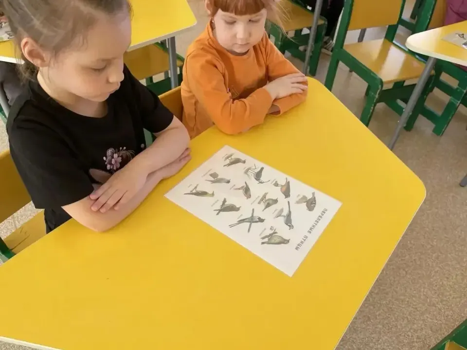 Фото из поста