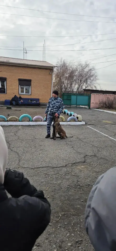 Фото из поста