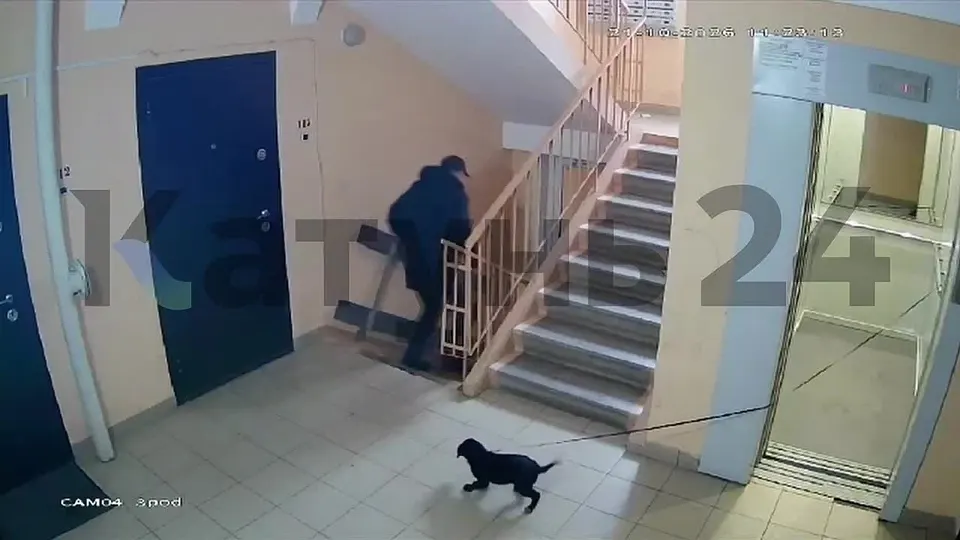 Обложка видео