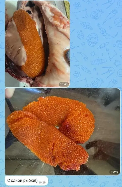 Фото из поста