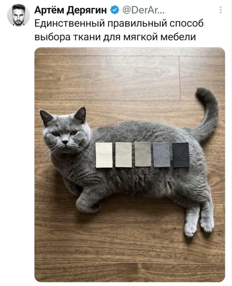 Фото из поста