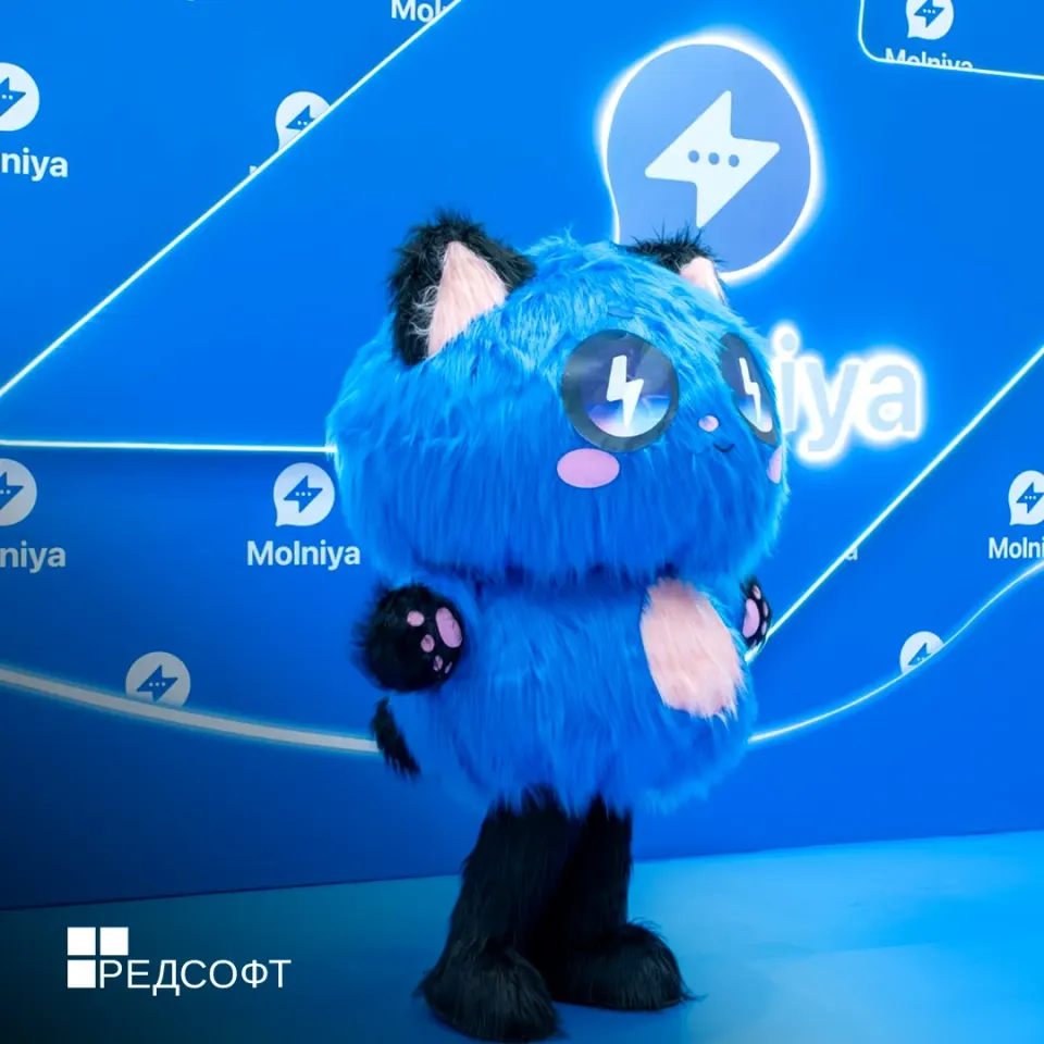 Фото из поста
