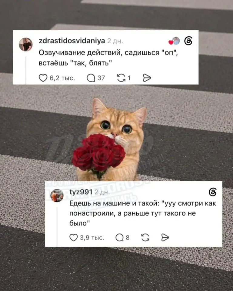 Фото из поста