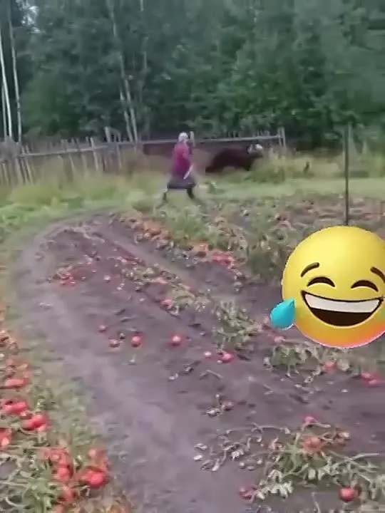 Обложка видео