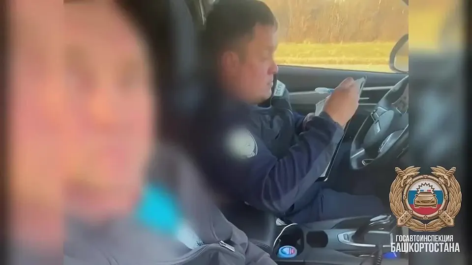 Обложка видео
