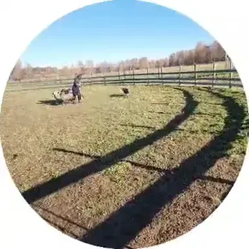 Обложка видео
