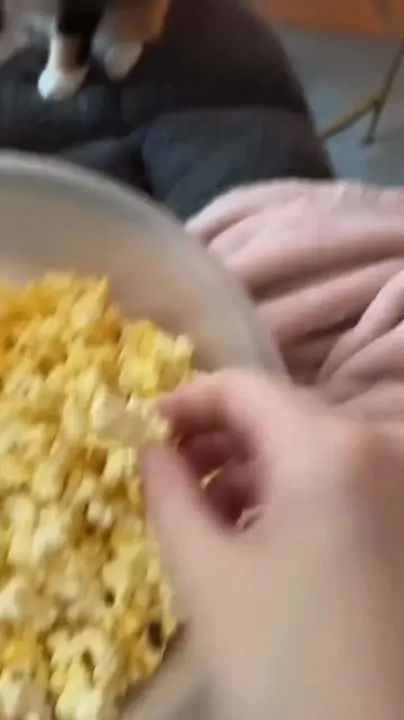 Обложка видео