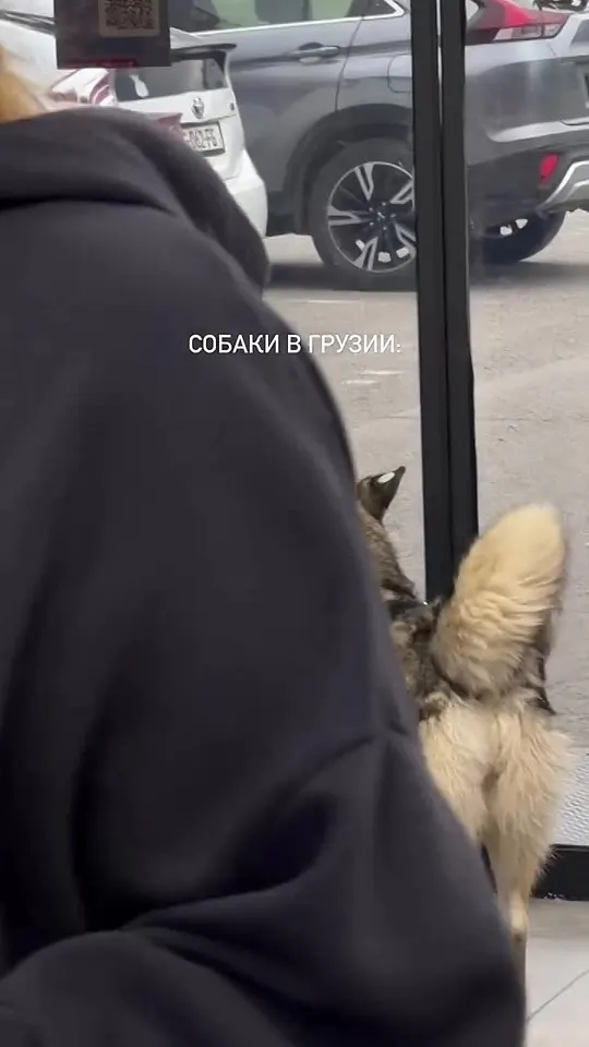 Обложка видео