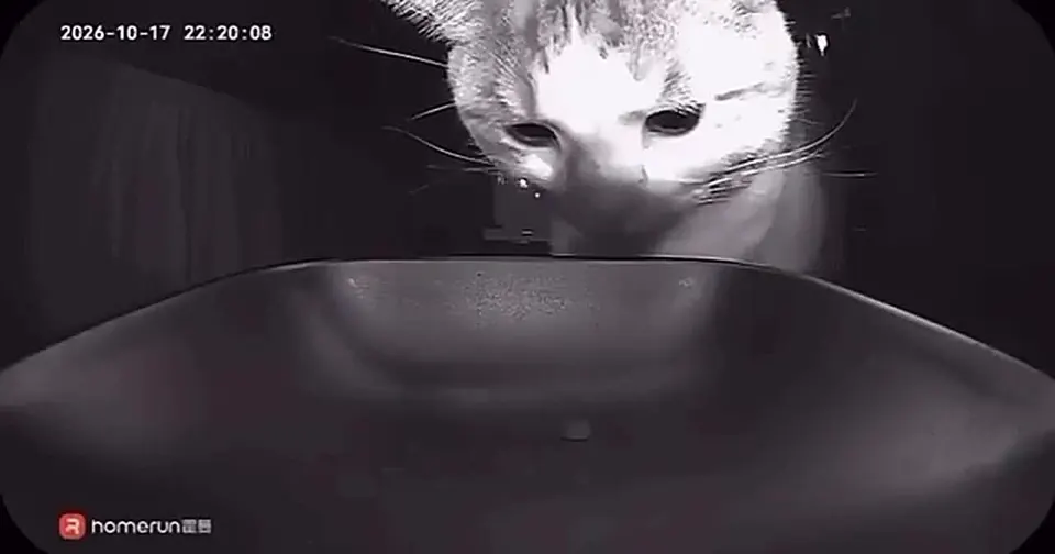 Обложка видео