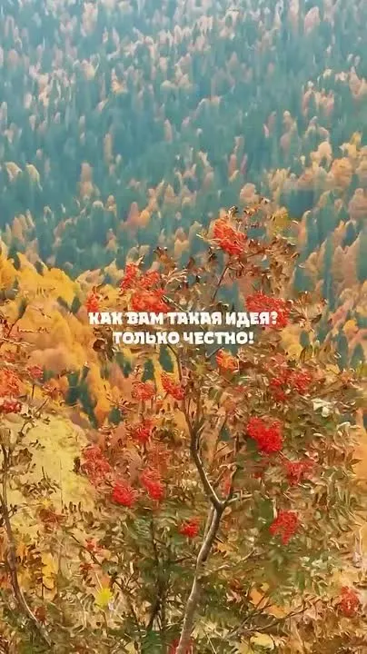 Обложка видео
