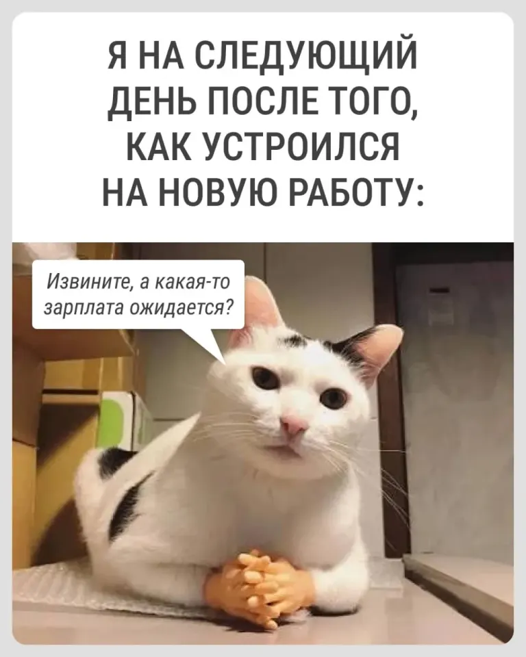 Фото из поста