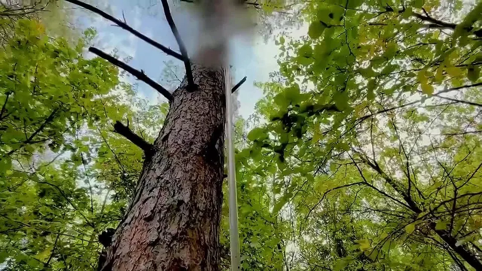 Обложка видео
