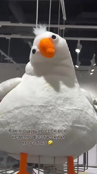 Обложка видео