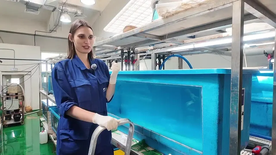 Обложка видео