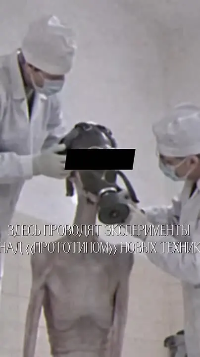 Обложка видео