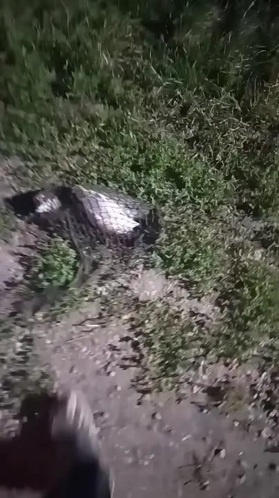 Обложка видео