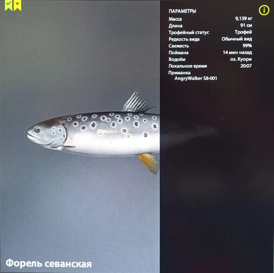 Фото из поста