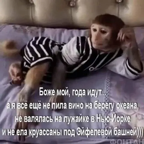 Фото из поста