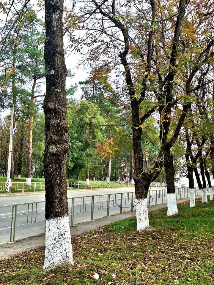 Фото из поста