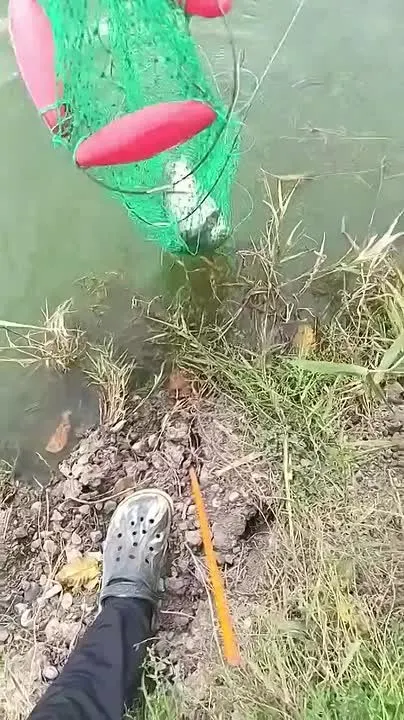 Обложка видео