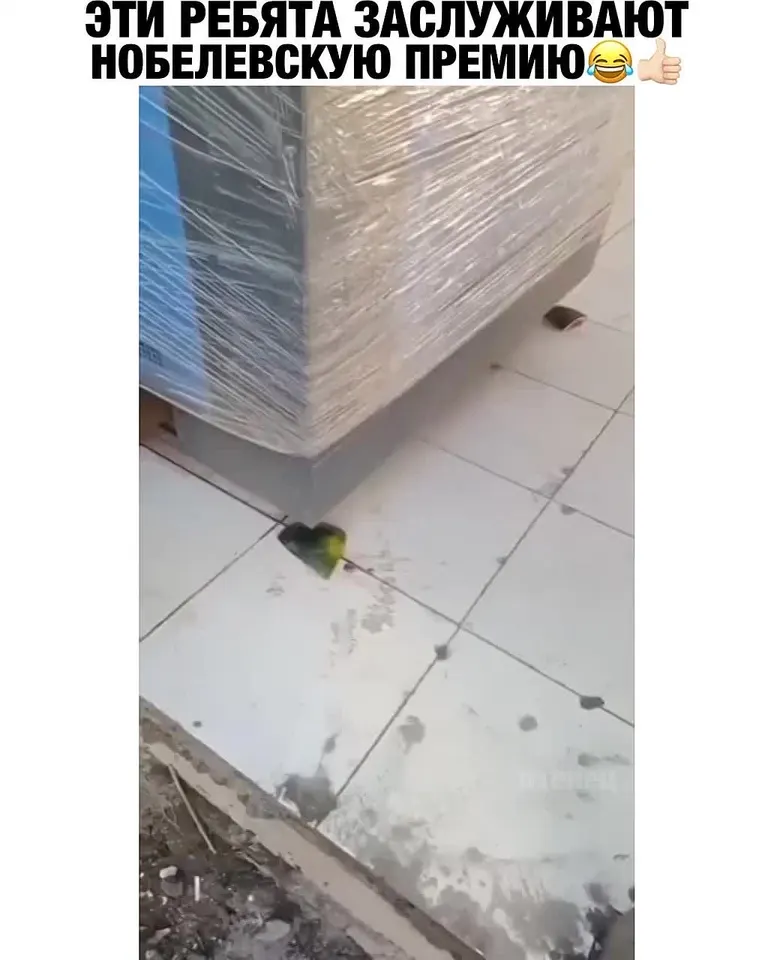 Обложка видео