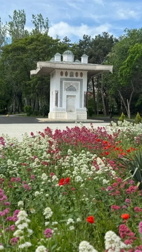 Фото из поста