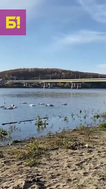 Обложка видео