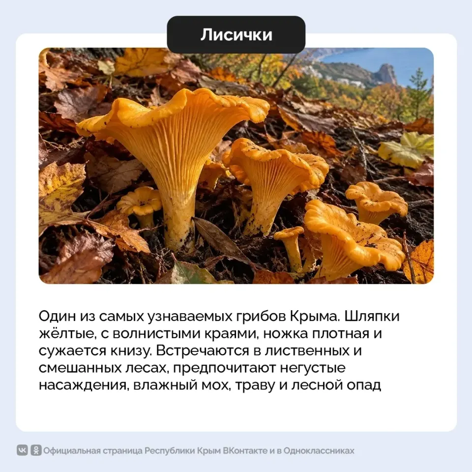 Фото из поста