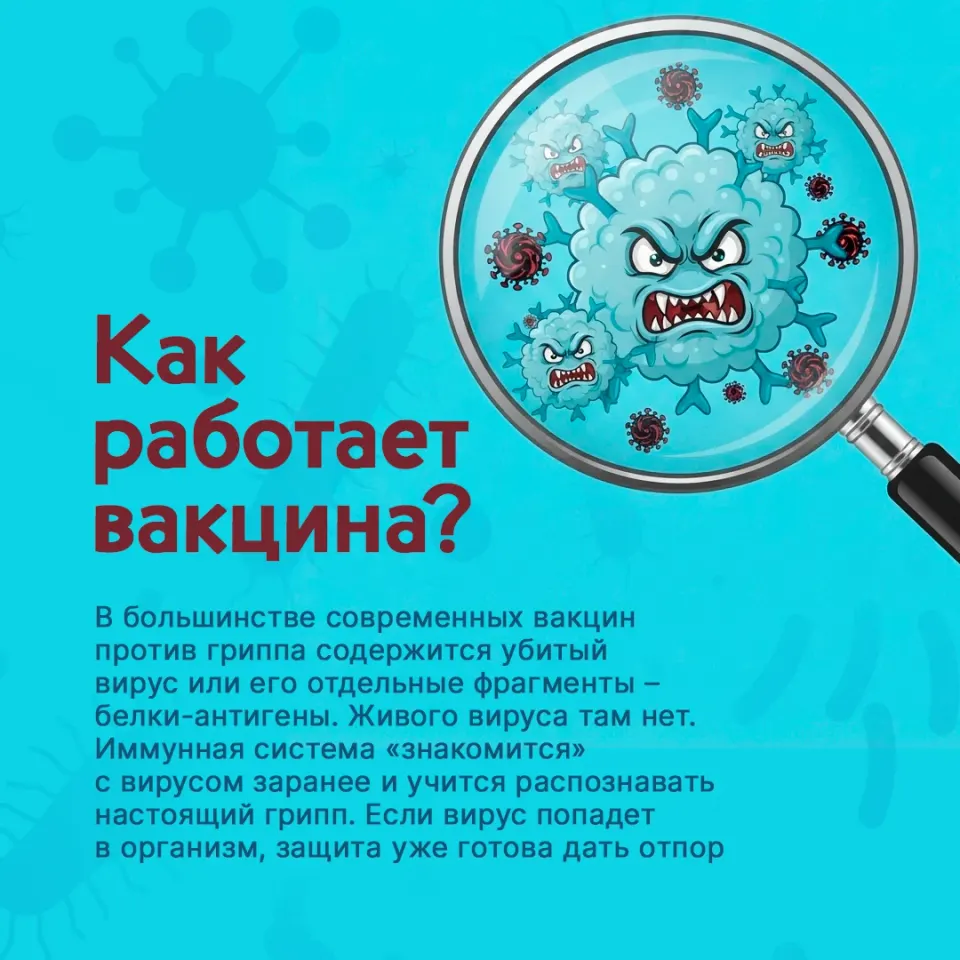 Фото из поста