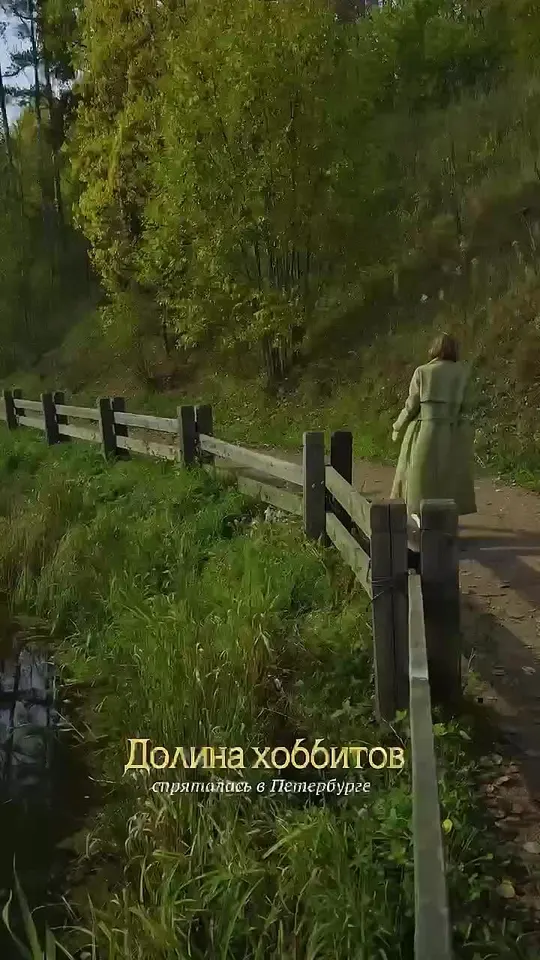 Обложка видео