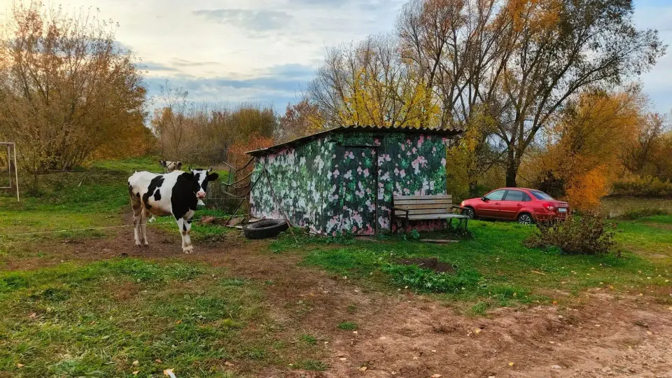 Фото из поста