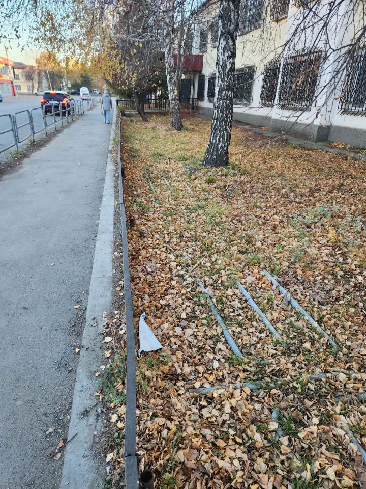 Фото из поста