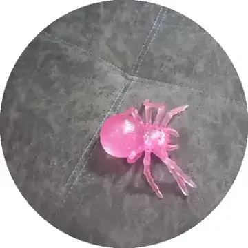 Обложка видео
