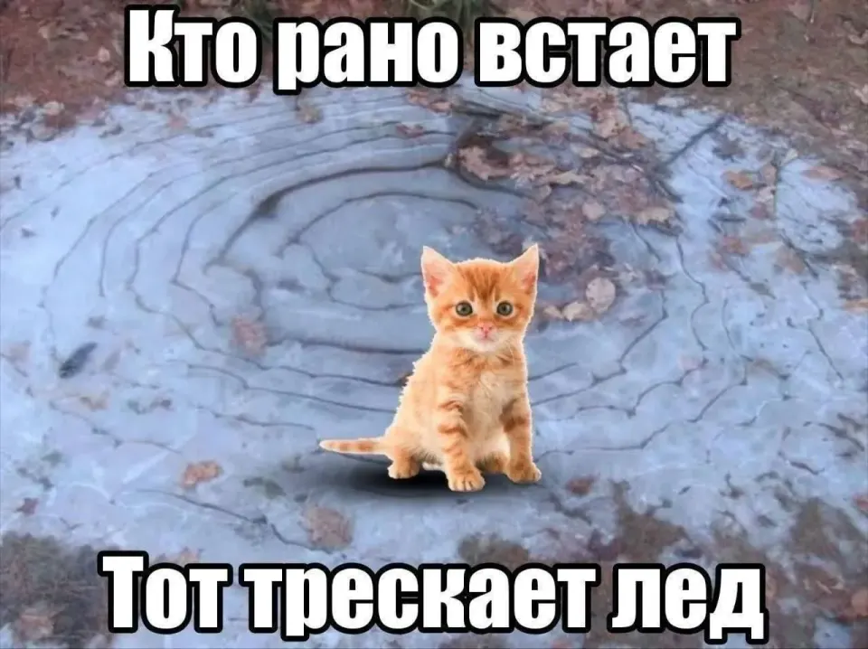 Фото из поста
