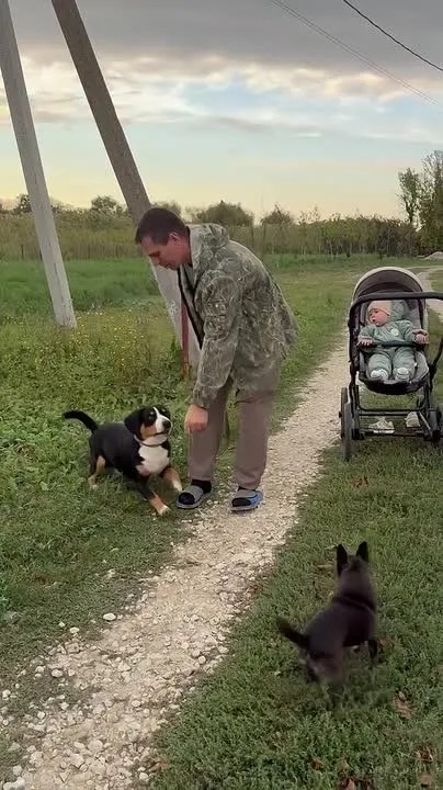 Обложка видео